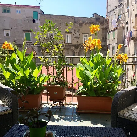 B&B Bellini-2